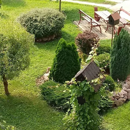 Flora * アランジェロヴァツ