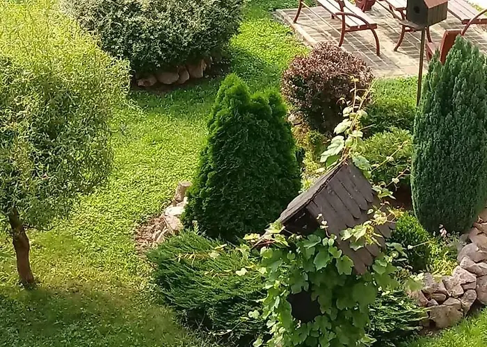 Flora * Aranđelovac